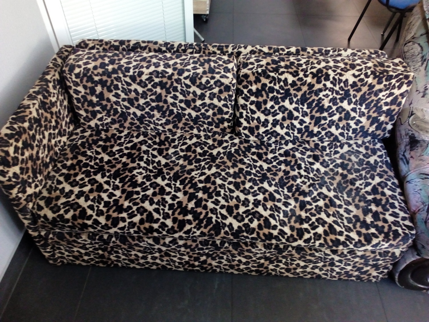 Леопард на диване